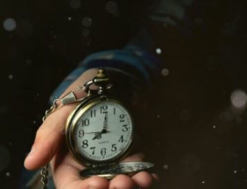 SNB SG TARNEAUD, RÉORG : DERNIÈRES INFOS